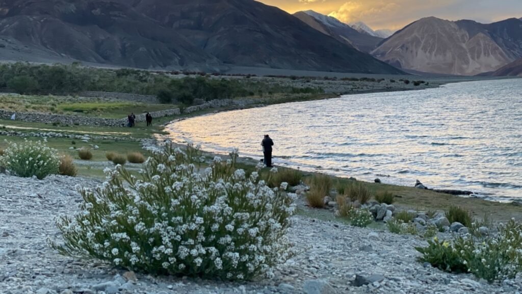 ladakh pangong lake