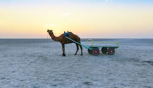 Rann of Kutch